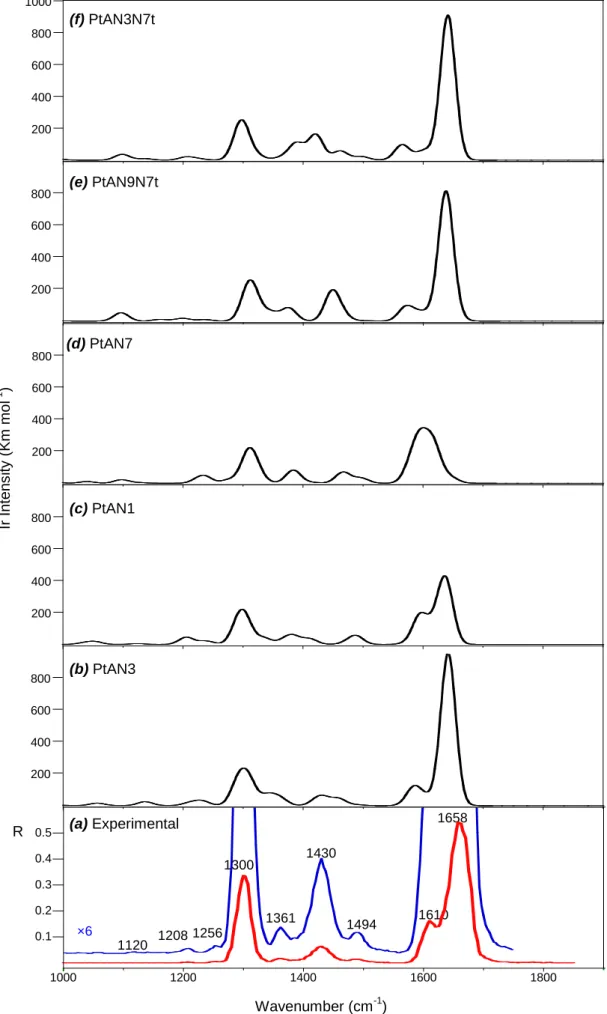 Figure  6.  a)  Experimental  IRMPD  spectrum  of  cis-[Pt(NH 3 ) 2 (A)Cl] +  together  with  computed IR spectra of b) PtAN3, c) PtAN1, d) PtAN7, e) PtAN9N7t and f) PtAN3N7t, all  calculated at the at the B3LYP/ 6-311G** level, in the spectral range of 10