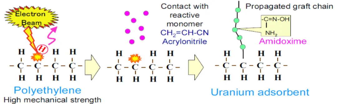 Figure  6 : The synthesis of the absorbent fabric:  The radiation-induced grafting of  amidoxime on polyethylene