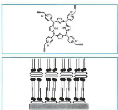 Figure  2 - a) Formation du film monomoléculaire  à  la surface de l'eau. 