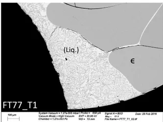 Figure 6: BSE image of FT25_T1, magnified on the  boundary between the iron core and the surrounding  scale of   phase