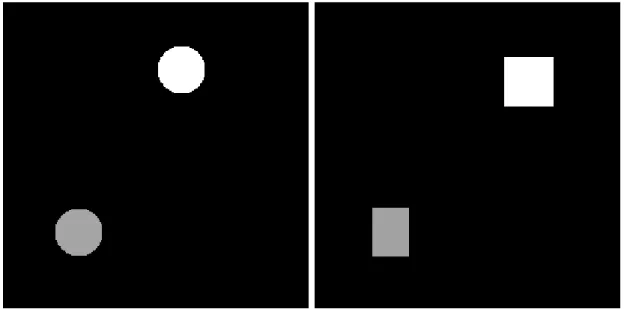 Figure 4.1: Example 1: no mass outside the two disks.