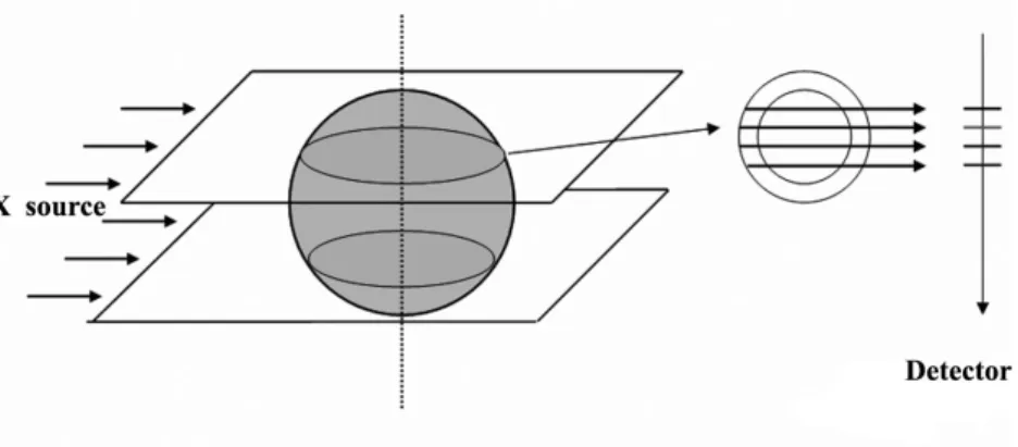 Figure 1.3: Parallel X-rays : the information along a detector segment depends on a planar slice of the object.