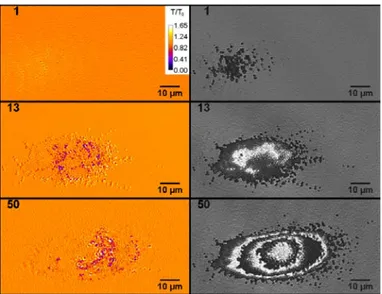 Fig. 11. Energy-deposition detected with a probe illumination delayed 4 ps after the pump  pulse (color images) and the resulting damage site (gray images)