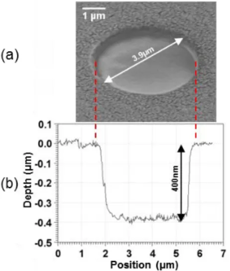 Fig. 2. (a) In-line SEM observation of an engineered structure. Processing layers that have a  marbled aspect are visible outside the hole