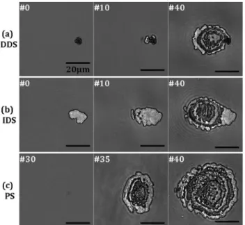Fig. 1. Microscopic observations perpendicular to the surface of damage sites during growth sequences: Sites are tested at 45° incidence.