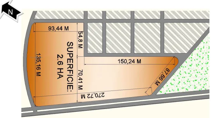 Figure 8 PLAN DE MASSE DU TERRAIN 