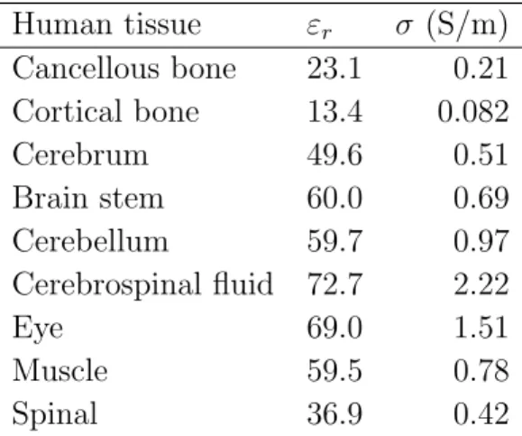 Table 1. Description of the various brain constituents and their dielectric properties at 298 MHz, the Larmor frequency at 7T.