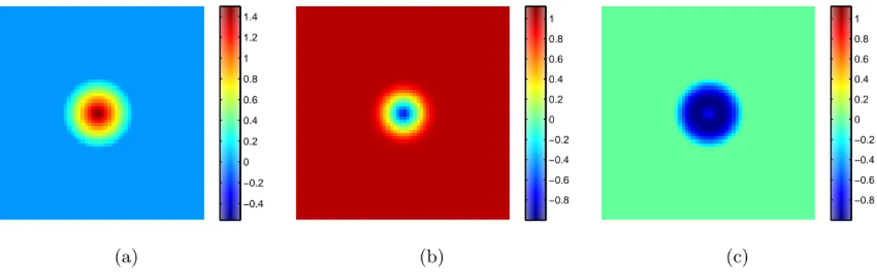 Figure 4.8: Cone object. True values for phase and specimen functions (a) Phase function ˇ φ, (b) Re {ˇ u}, (c) Im { u}ˇ