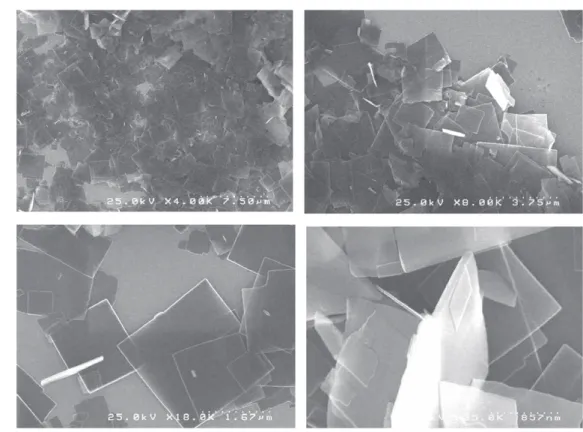 Figure 3. SEM images of nano-plates obtained by self-assembly of fulleropyrrolidine 2 in the mixture of THF/AcCN.