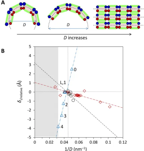 Figure 4. (A) Geometrical illustration of the formation of crystals as a limit-case when the radius of curvature tends to in ﬁ nite because the steric hin- hin-drance (symbolized by blue beads) of the close contacts in the outer layer is getting smaller