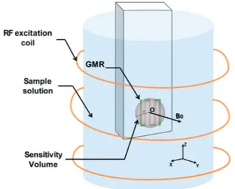 FIG. 4. FFT of water FID spectrum detected by the GMR in 400 acquisi- acquisi-tions. The SNR is 3