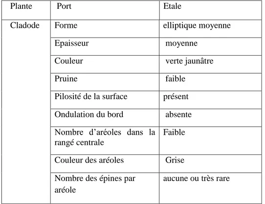 Tableau 8 : Mesures biométriques de l’écotype 1 Sidi Fredj  (EcS1). (UPOV)