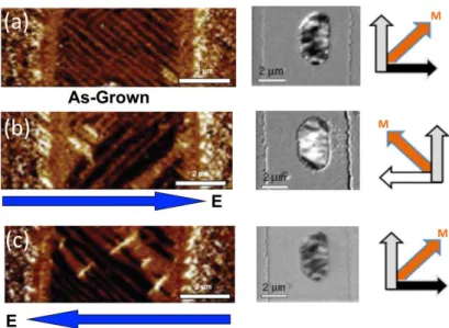 Figure 6. BFO/Co 0.9 Fe 0.1 device allowing magnetization direction control of the soft FM magnetization with an in-plane electric ﬁeld