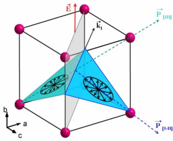 Figure 4. Schematics of the planes of spin rotations and cycloids k vector for the two polarisation domains separated by a domain wall (in grey)