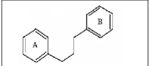 Fig. N°08 : Biosynthèse des flavonoides (Bruneton, 1999).  