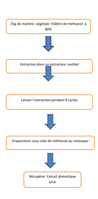 Diagramme N° 15 : Méthode d’extraction par  soxhlet. 