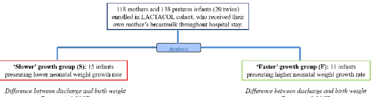 Figure  1.  Study  flowchart  of  infants  enrolled  in  the  ancillary  study  of  the  mono-centric  prospective  population-based  LACTACOL  (for  global  study  flowchart  of  LACTACOL,  see  [20])