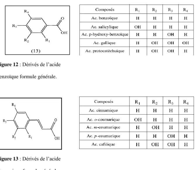 Figure 12 : Dérivés de l’acide   benzoïque formule générale.  