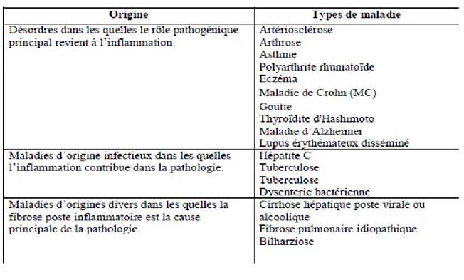 Tableau 4 : Origines cellulaires et effets des principaux médiateurs inflammatoires. (Rankin,  2004; Male et al, 2007)