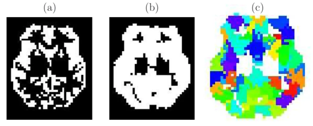 Fig. 9. (a): Slice of Subject 1’s anatomical mask (z = −4 mm). (b): its dilated version M a to match the functional resolution