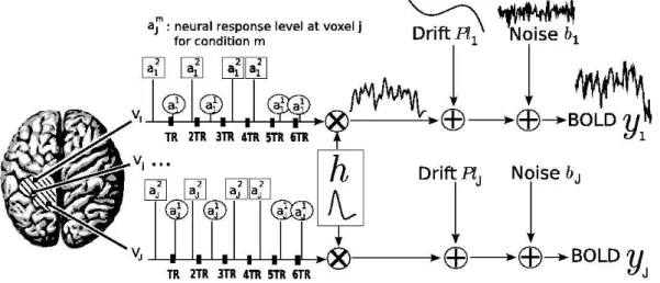 Fig. 1. Summary of the proposed regional BOLD model. The size of each parcel P varies typically between by a few tens and a few hundreds: 80 6 J 6 350