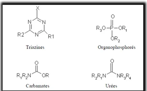 Figure 08 : Structures chimiques des principales familles de pesticides      (Azzouzi,  2012)
