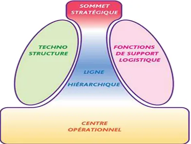 Figure n° 05 : Les composantes de la structure d’une organisation. 