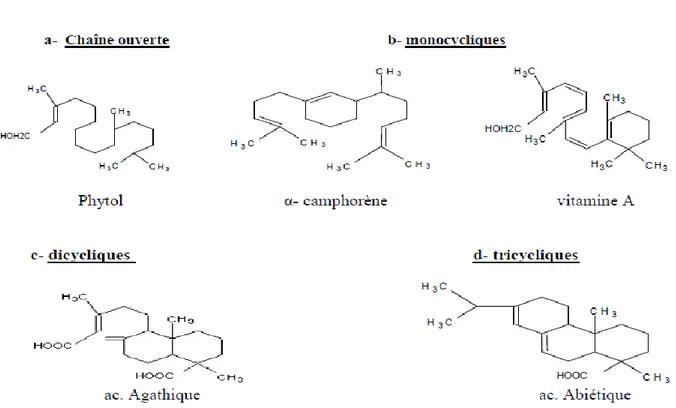 Figure II.5: Exemples des quelques diterpènes. [3]. 