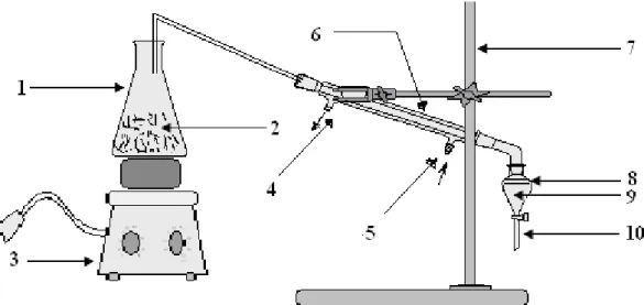 Figure III.6: le montage de l'hydrodistillation. [10]. 
