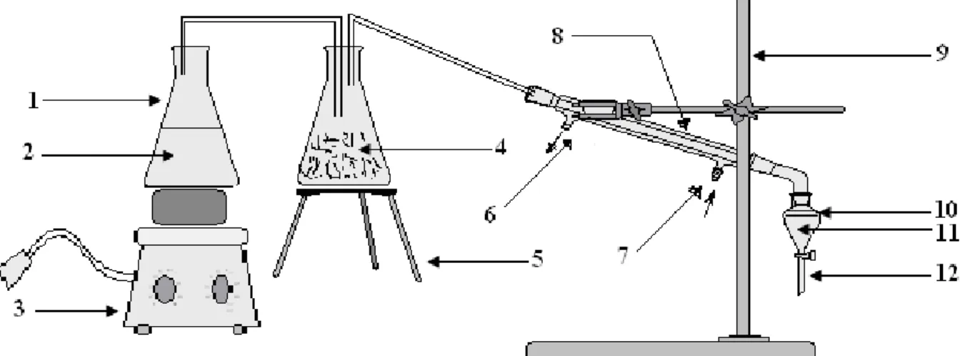 Figure III.8 : le montage de l'entraînement à la vapeur d'eau. 
