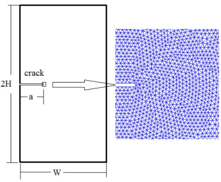 Figure 2. Plate with a central crack and the near tip mesh (half structure is presented due to the  symmetry)                                                                       The differential non-local model (6) is used to evaluate the non-local effec