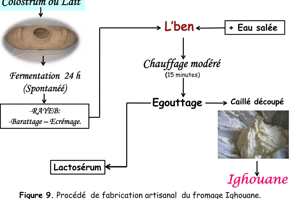 Figure 9. Procédé  de fabrication artisanal  du fromage Ighouane.