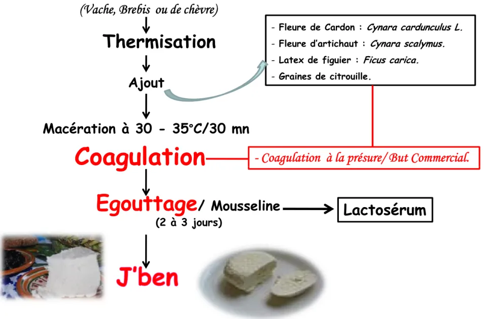 Figure 3. Premier procédé  de fabrication artisanal  du J’ben.