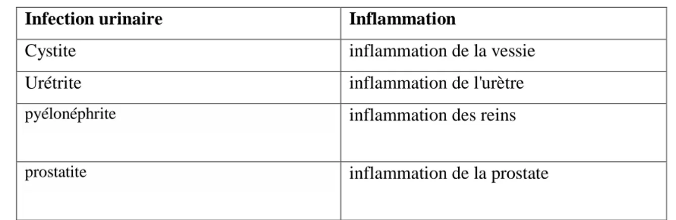 Tableau 2. Les types de l’infection urinaire et leurs inflammations (Spilf er l’Afu, 2002)  
