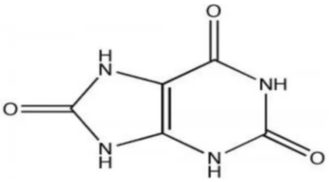 Figure 10 : Structure chimique de l’acide urique. 