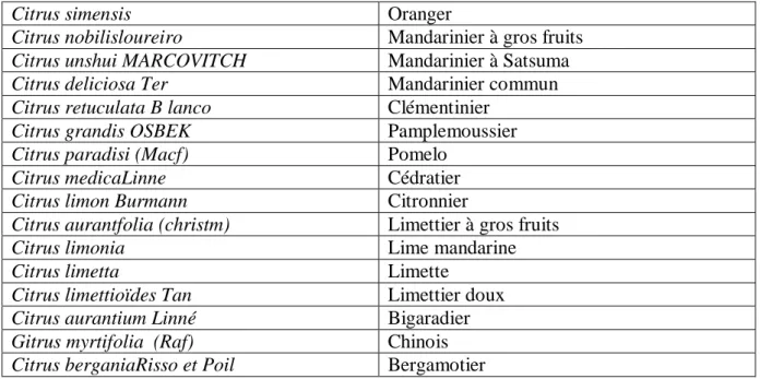 Tab. 1: Les principales espèces cultivées du genre Citrus (Swingle, 1948)