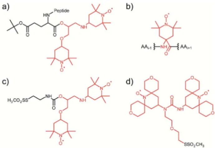 Fig. 1 Illustration of the several tDNP spin labeling approaches based on the covalent binding of the PA onto the targeted system: (a) TOTAPOL is covalently attached to the terminal CO of a  decapep-tide
