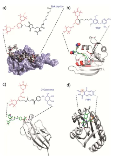 Fig. 3 Examples of tDNP approaches that uses (a – c) the speci ﬁ c a ﬃ nity of a ligand-derivatized PA with the protein of interest, and (d) an endogenous paramagnetic cofactor