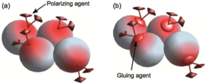 Fig. 6 Schematic illustration of the matrix-free approach developed by Takahashi et al., 83 using either direct (a) or indirect (b) a ﬃ nity of the PA with the system of interest