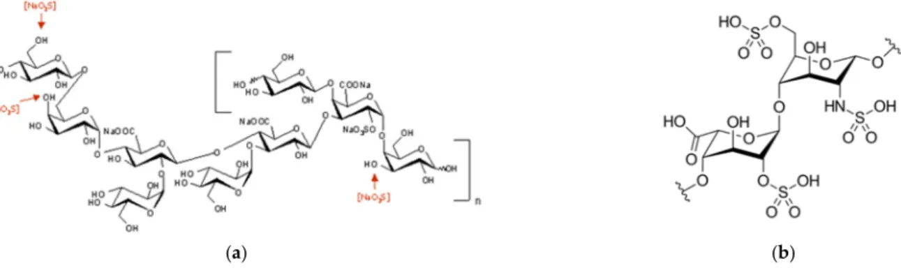 Figure 1. (a) Structure of EPS and postulated sulfated position after oversulfation reaction [12]