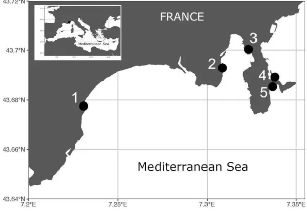 Figure 3.1. The sites studied along the French Mediterranean coast during the summer  period in 2015 and 2016