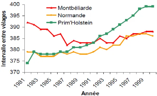 Figure 04 : Evolution de l'intervalle entre vêlages depuis 1980 dans les trois Principales races  françaises (BOICHARD et al
