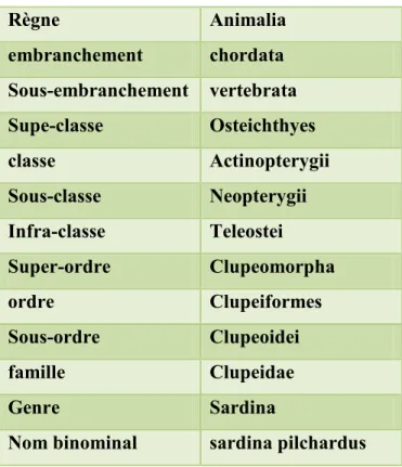 Tableau 03  : classification de la sardine 
