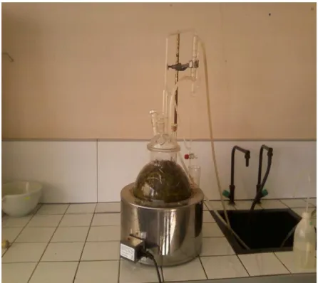 Figure 5 : Montage d’hydrodistillation (photo originale)  II.1.4. Détermination du rendement en huiles essentielles 