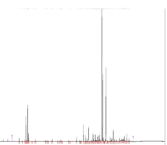 Figure  13  :  Chromatogramme  d’une  analyse  par  CPG  de  l’huile  essentielle  de  Curcuma  longa
