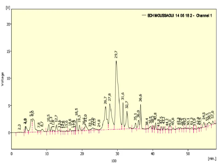 Figure 8: Chromatogramme des polyphénols de jeunes nopals d'Opuntia de Tissemsilt (Algérie)