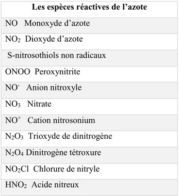Tableau 01. Les principaux formes réactives de nitrogène (Saddhe et al., 2019)  Les espèces réactives de l’azote 