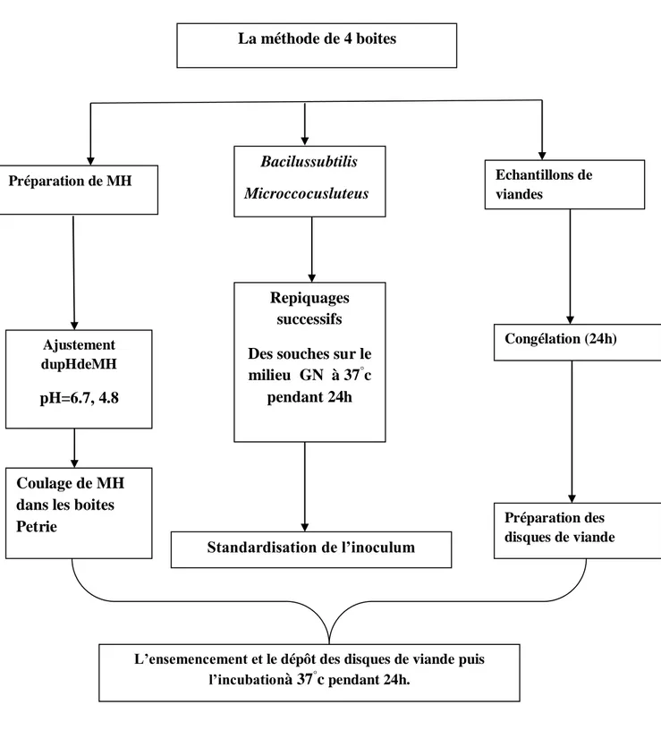 Figure N°02 :Protocole expérimental de la méthode de quatre boites. 