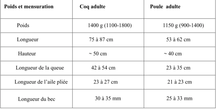 Tableau n°2: Mensurations de la population de référence maintenue en captivité à Zéralda  5