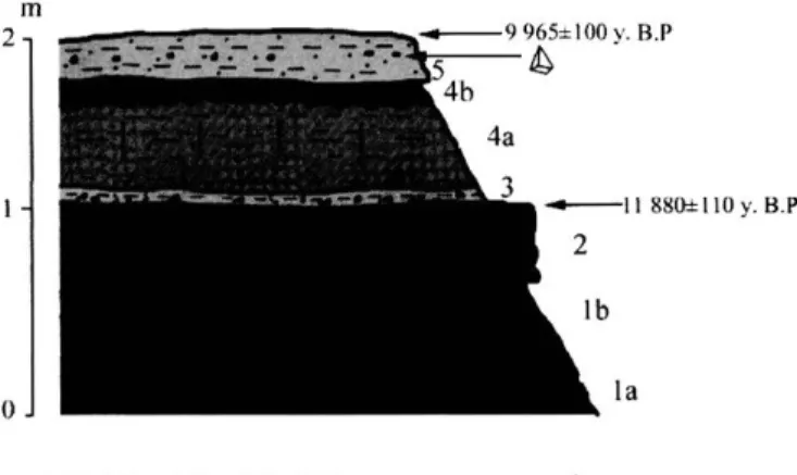 Fig. 4:  Stratigraphie section of the Lower Rharbian alluvial deposi ts  1. gravels, 2